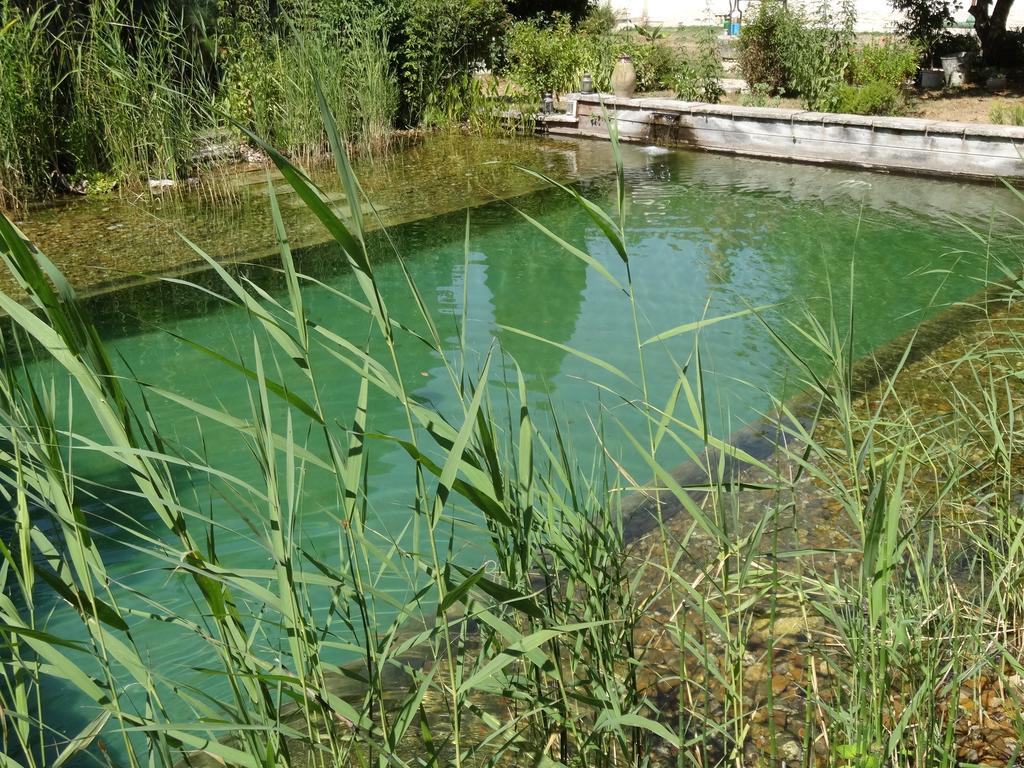 Saint-Julien-de-Chédon Jardin De Canaan المظهر الخارجي الصورة